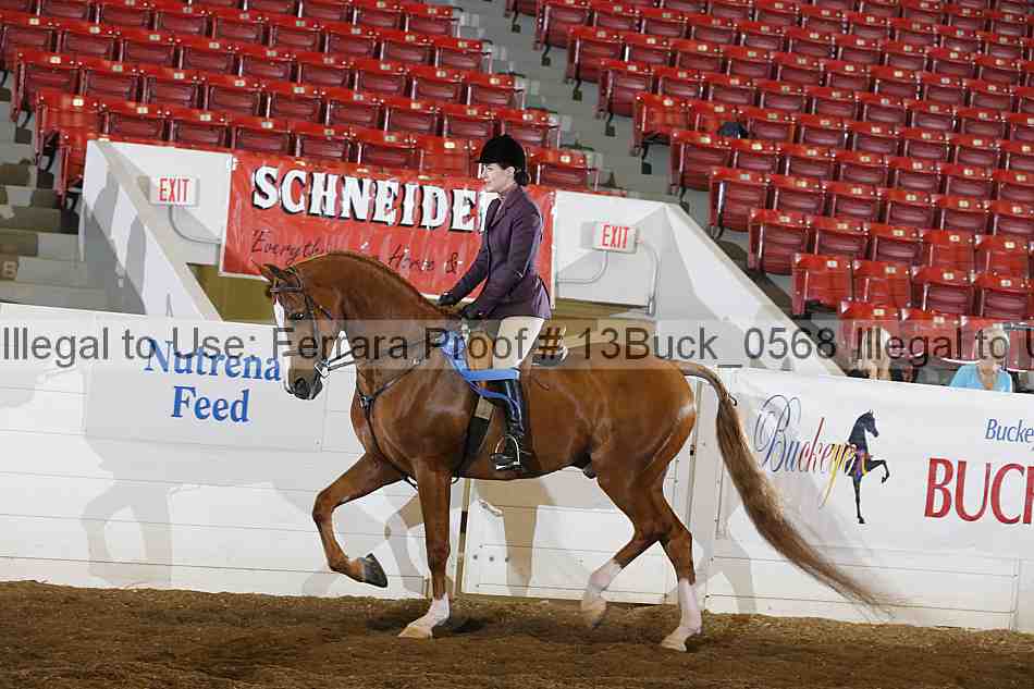 Proof Number 13buck_0568
