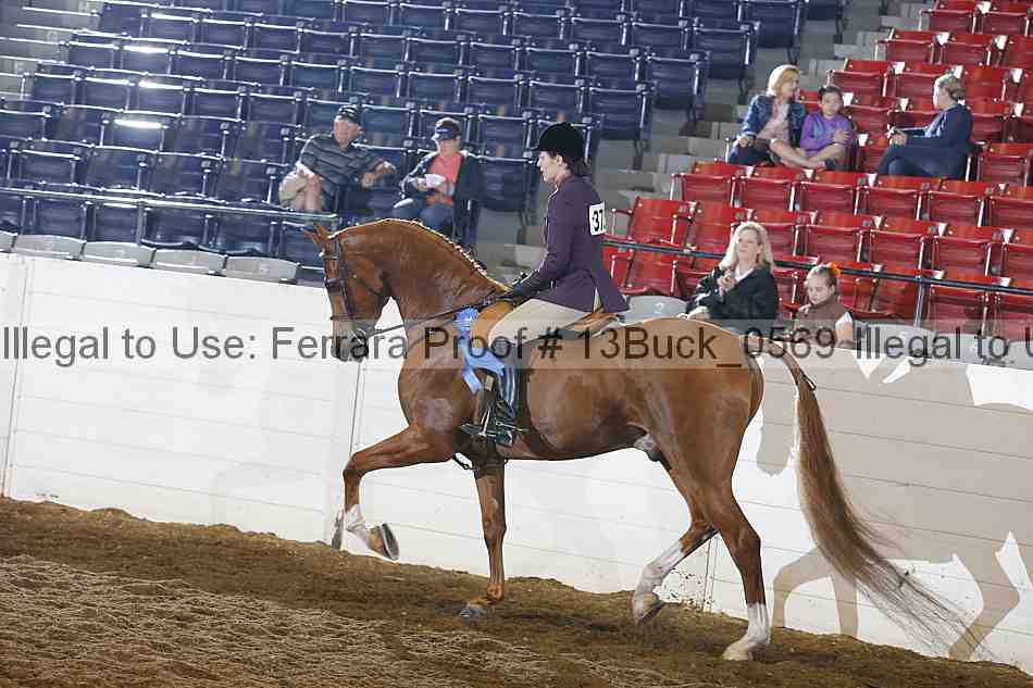 Proof Number 13buck_0569