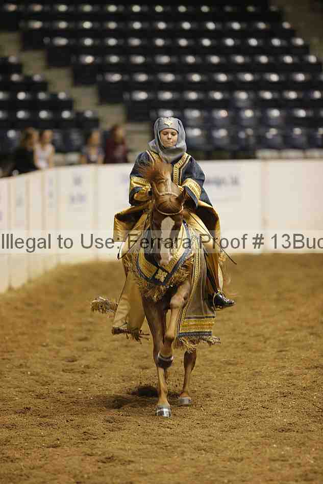 Proof Number 13buck_0594