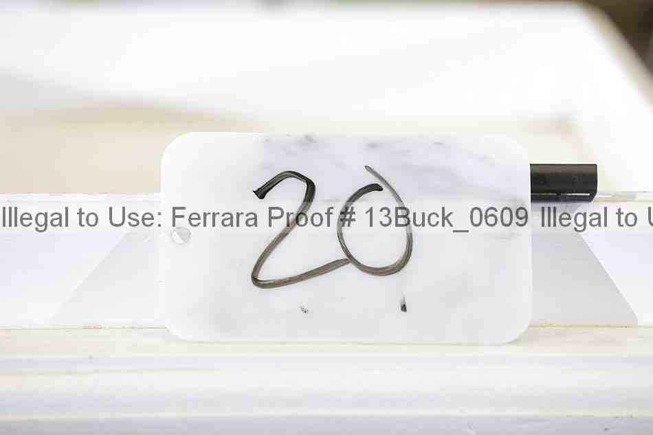 Proof Number 13buck_0609
