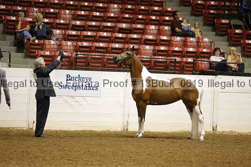 Proof Number 13buck_0619