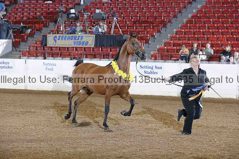Proof Number 13buck_0635