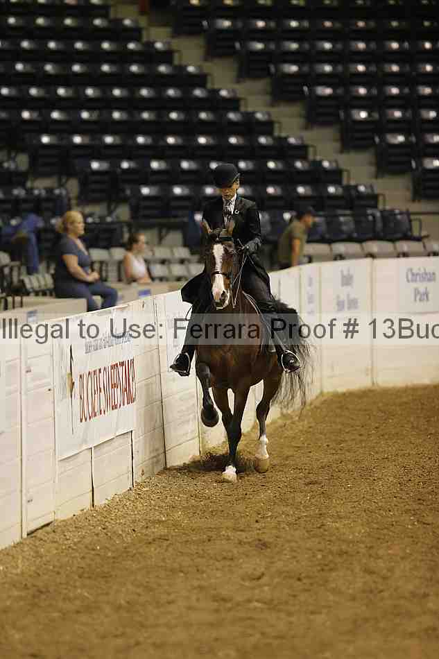 Proof Number 13buck_0672