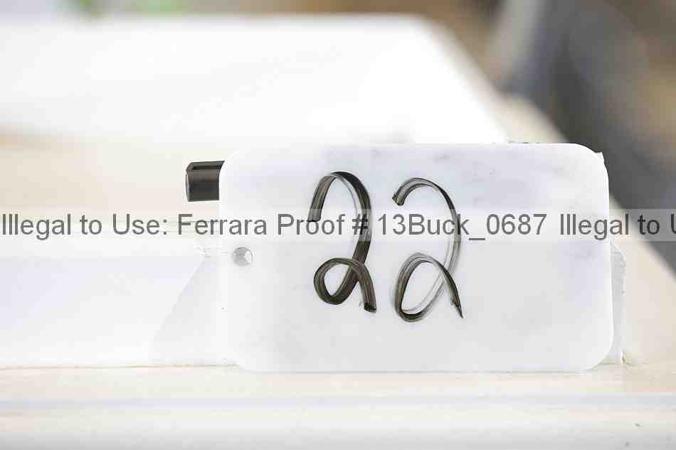Proof Number 13buck_0687
