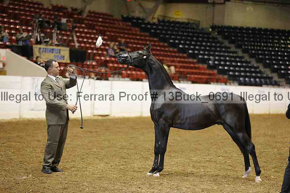 Proof Number 13buck_0691