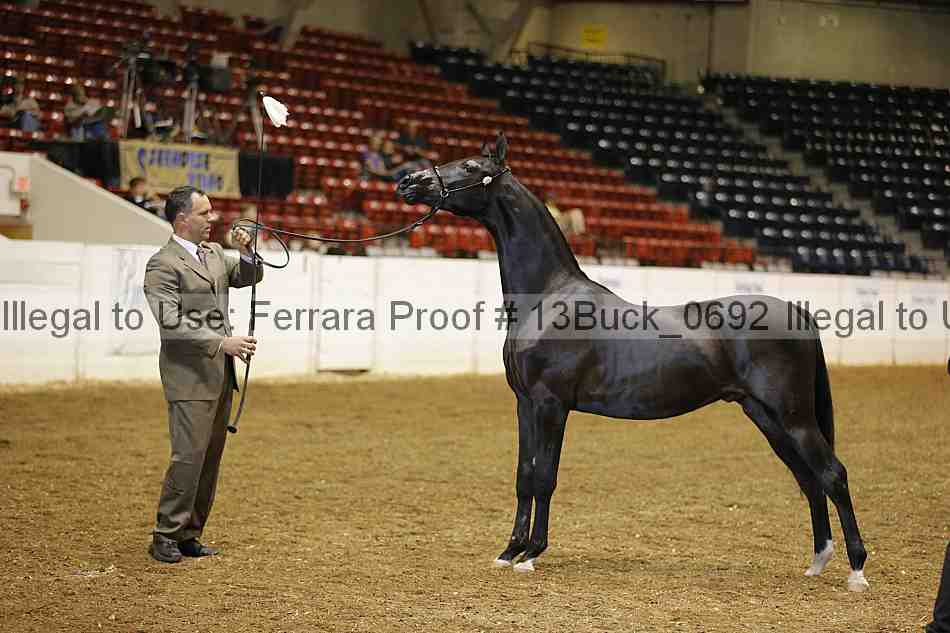Proof Number 13buck_0692