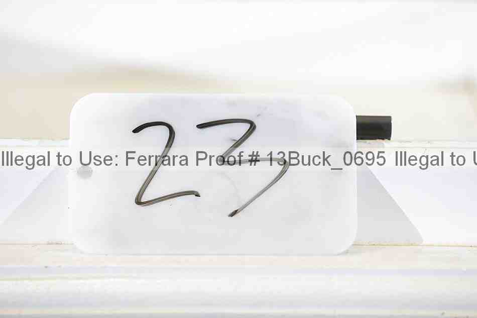 Proof Number 13buck_0695