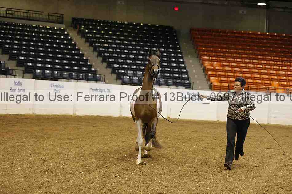 Proof Number 13buck_0697