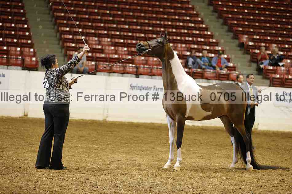 Proof Number 13buck_0705