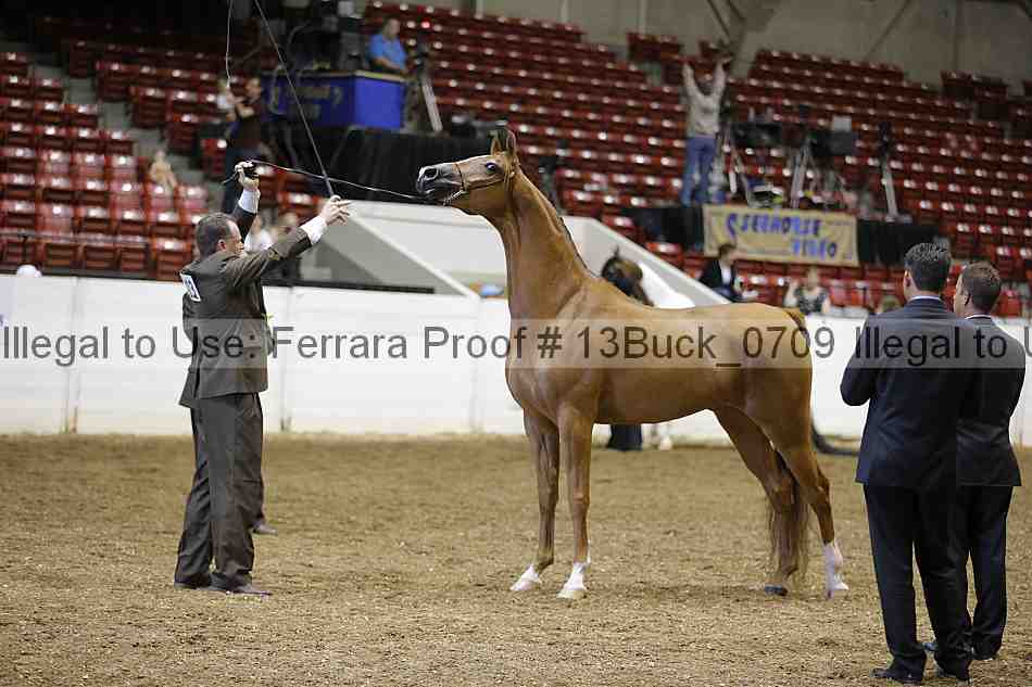 Proof Number 13buck_0709