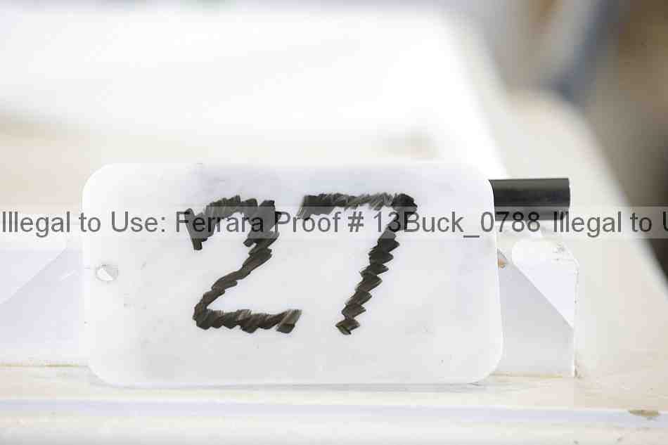 Proof Number 13buck_0788