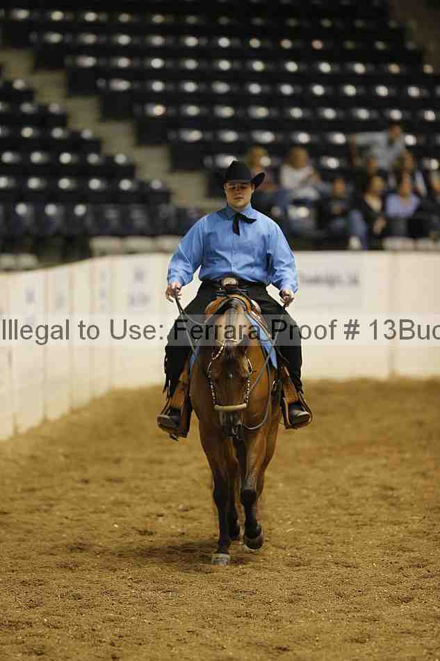 Proof Number 13buck_0791
