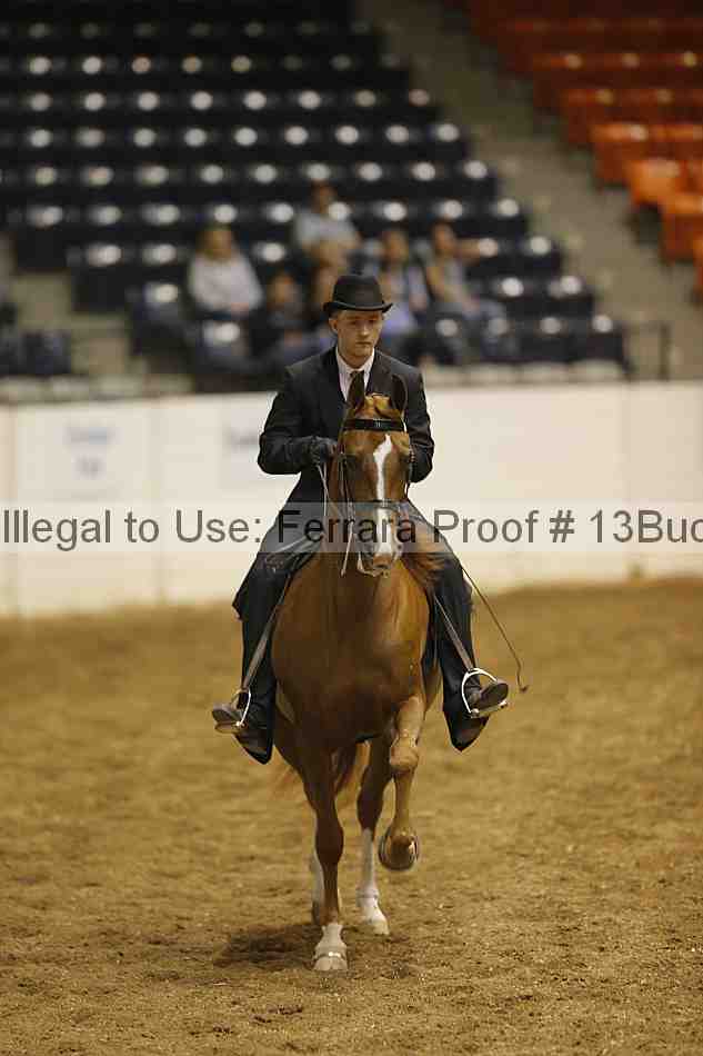 Proof Number 13buck_0860
