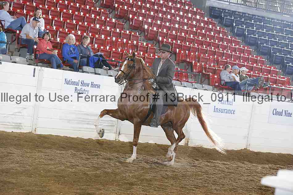 Proof Number 13buck_0911