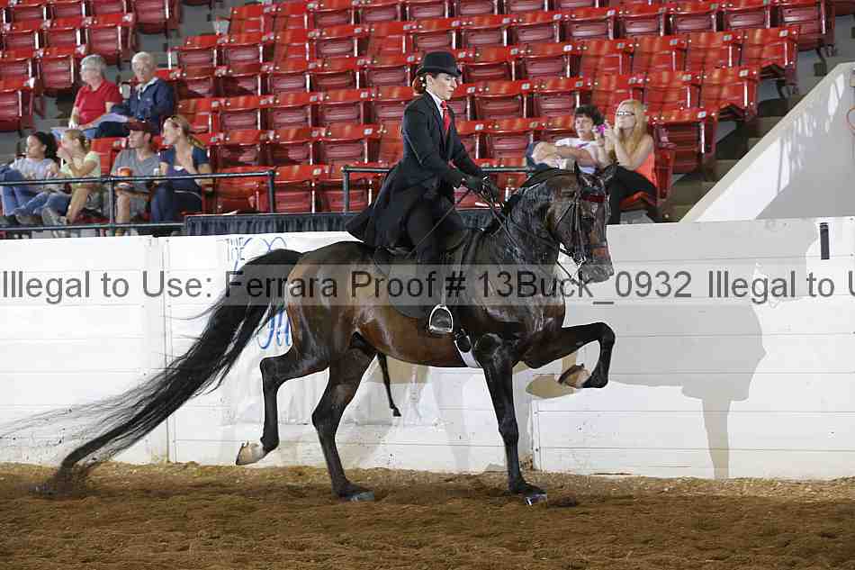Proof Number 13buck_0932