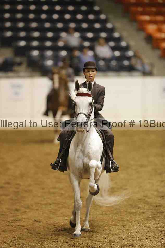 Proof Number 13buck_0937