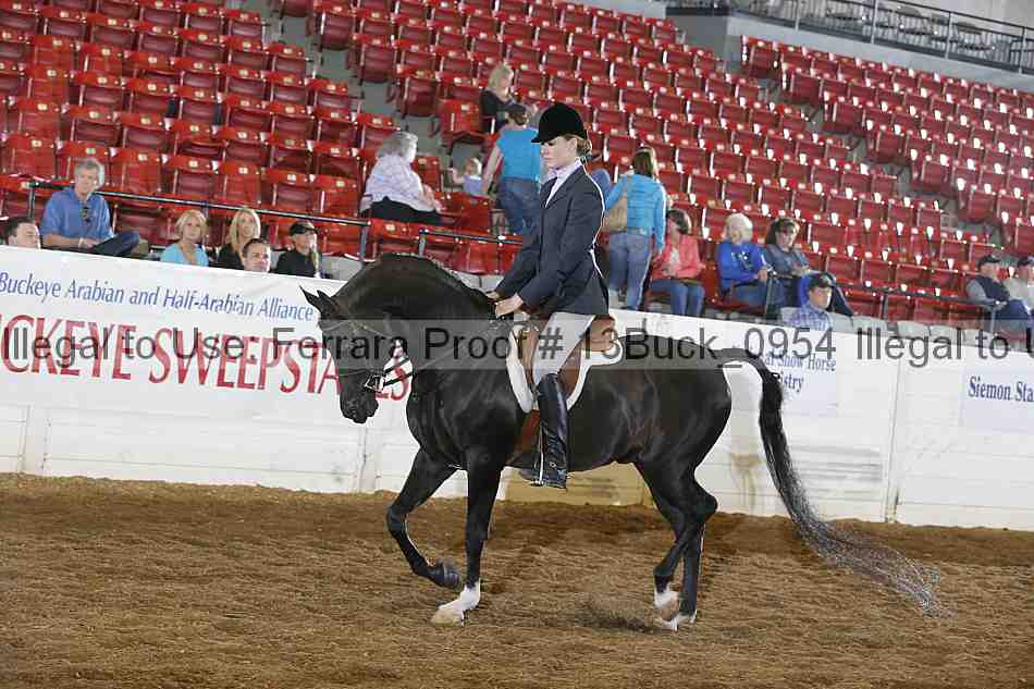 Proof Number 13buck_0954