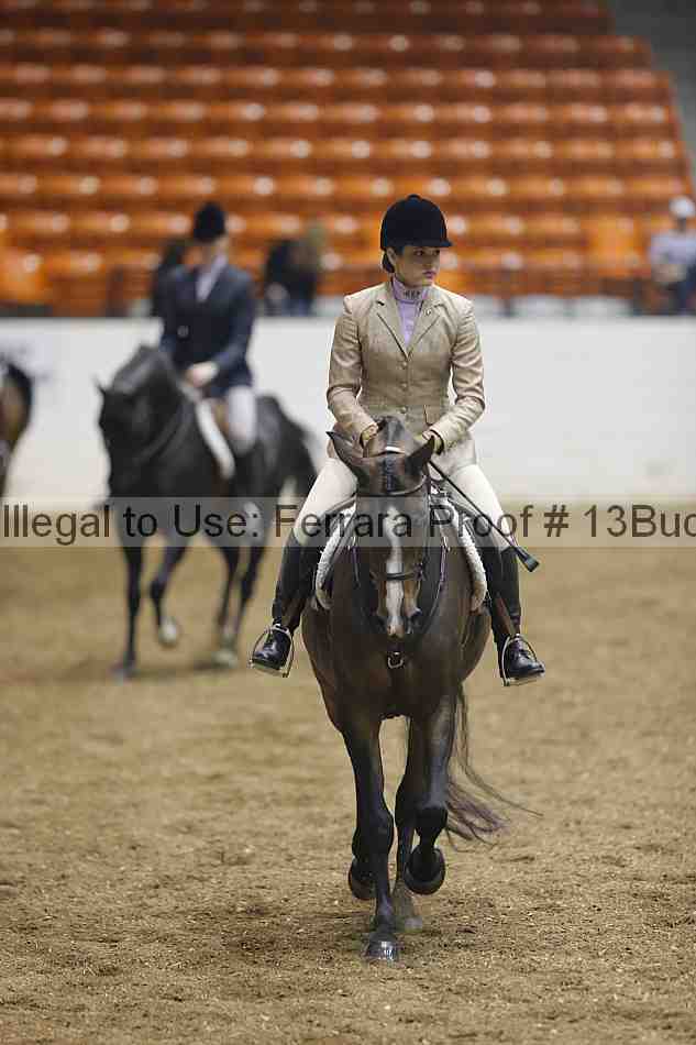 Proof Number 13buck_0957