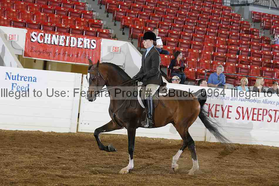 Proof Number 13buck_0964