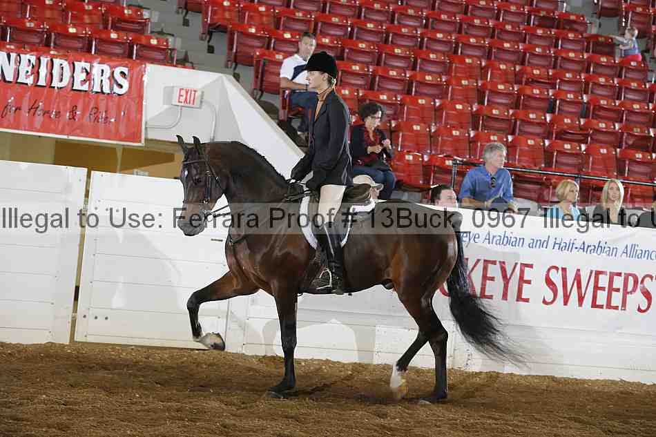 Proof Number 13buck_0967
