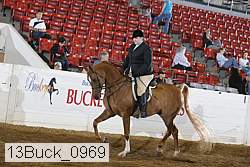 13buck_0969 thumbnail