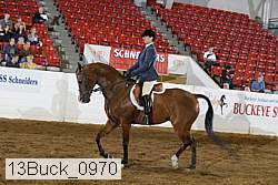 13buck_0970 thumbnail