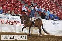 13buck_0971 thumbnail