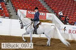 13buck_0972 thumbnail