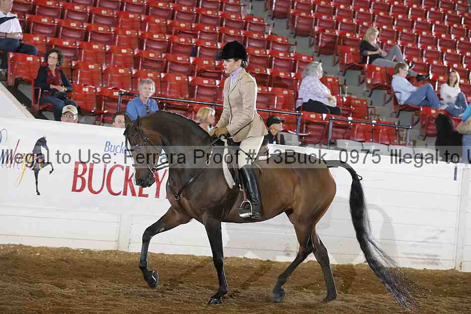 Proof Number 13buck_0975