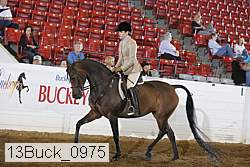 13buck_0975 thumbnail