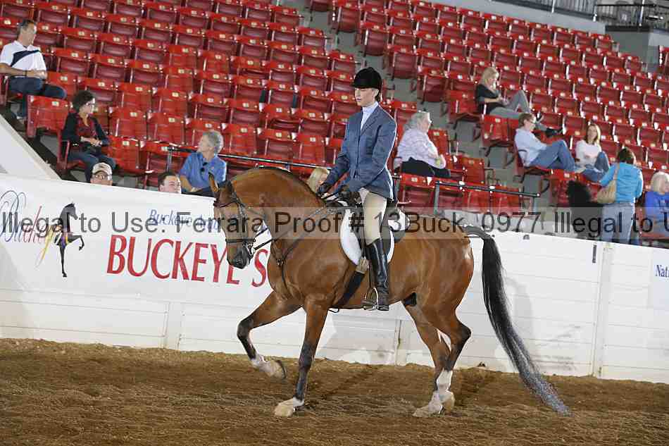 Proof Number 13buck_0977