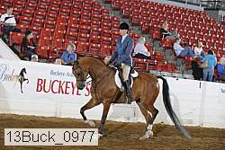 13buck_0977 thumbnail
