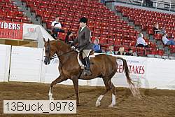 13buck_0978 thumbnail