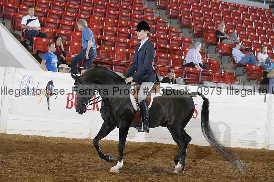 Proof Number 13buck_0979