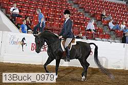 13buck_0979 thumbnail
