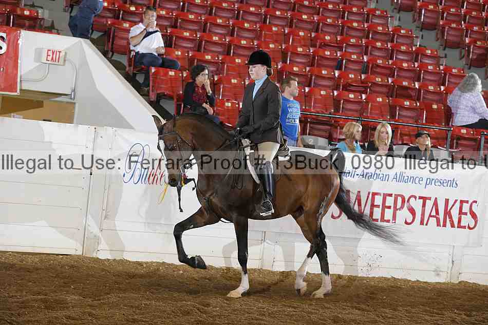 Proof Number 13buck_0980