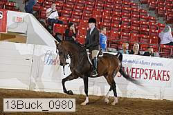 13buck_0980 thumbnail