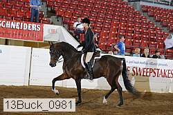 13buck_0981 thumbnail