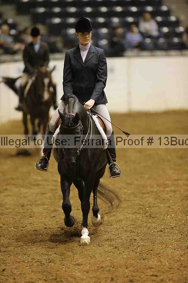 Proof Number 13buck_0982