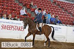 13buck_0983 thumbnail
