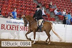 13buck_0984 thumbnail
