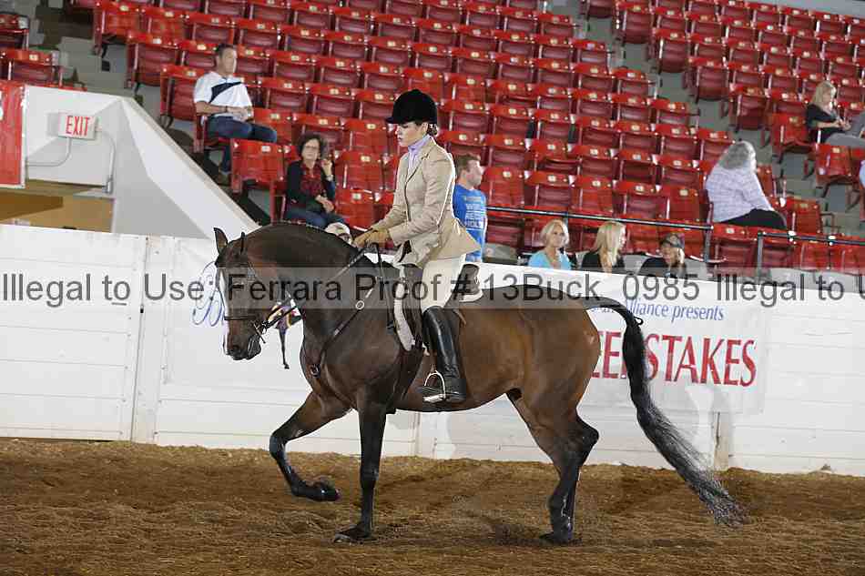Proof Number 13buck_0985