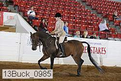 13buck_0985 thumbnail