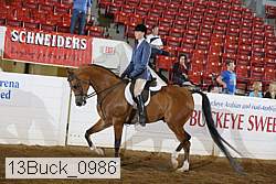 13buck_0986 thumbnail