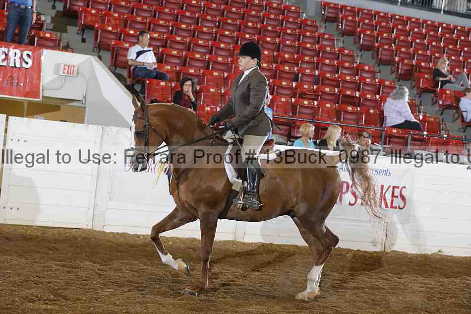 Proof Number 13buck_0987