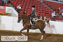 13buck_0987 thumbnail
