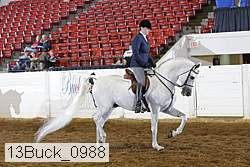 13buck_0988 thumbnail