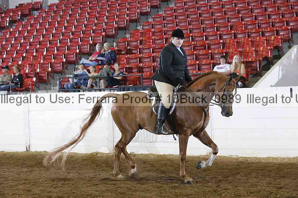 Proof Number 13buck_0989