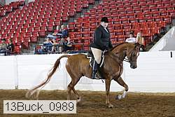 13buck_0989 thumbnail