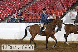 13buck_0990 thumbnail
